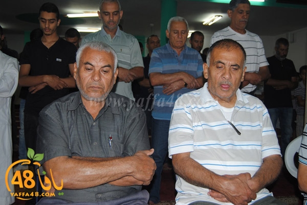 trawe7 zatona (5).JPG